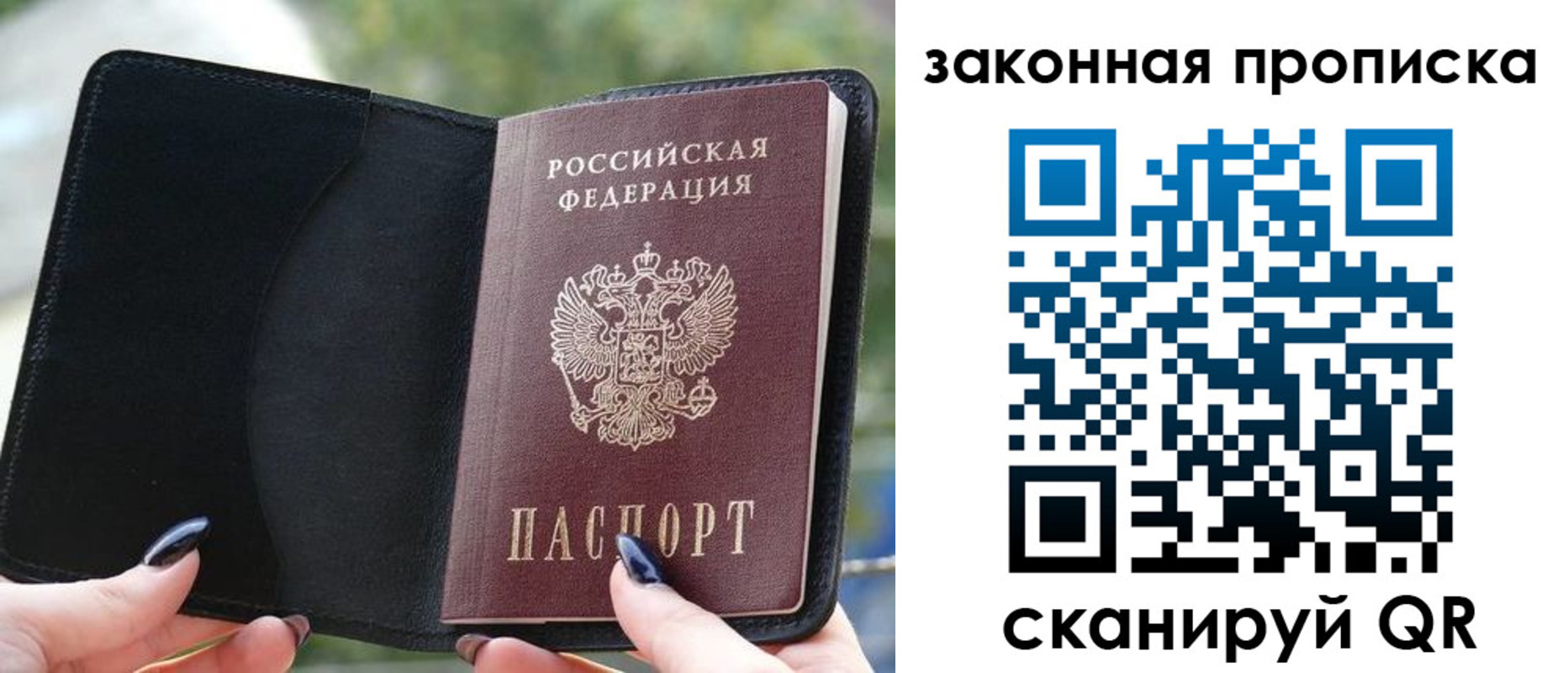 прописка законно в Купино